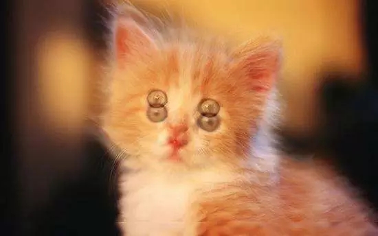 4月21日，ICL近視摘鏡答疑會邀您參加!